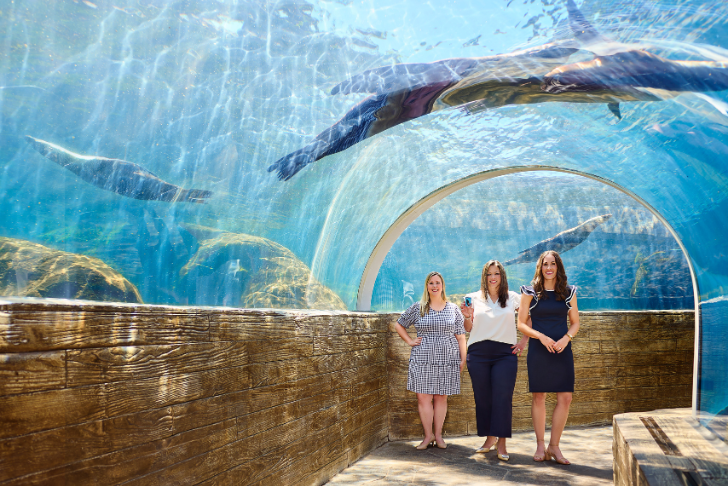 women in sea lion tunnel at Saint Louis Zoo